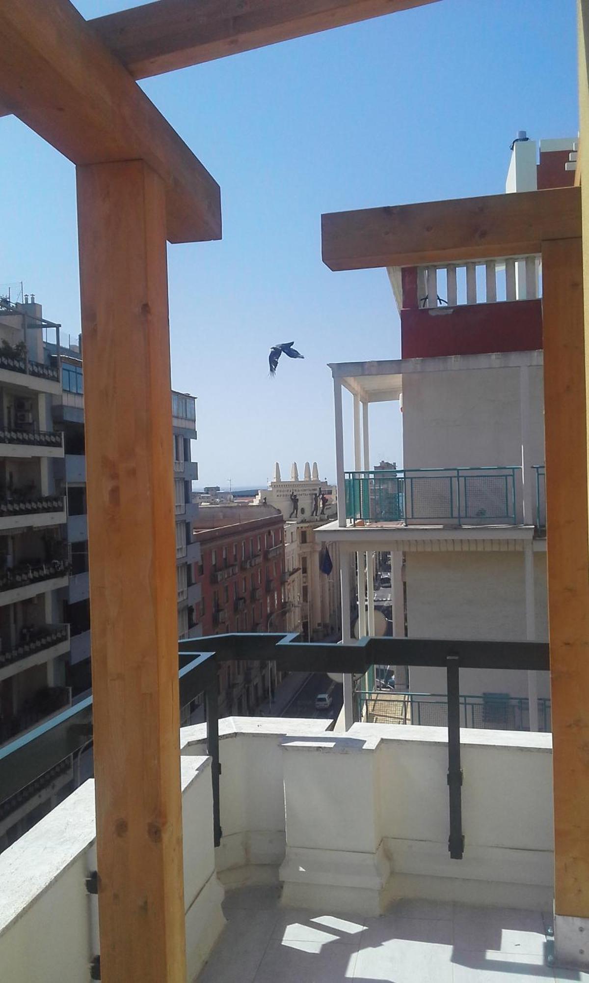 Monolocale Sonnino Βίλα Κάλιαρι Εξωτερικό φωτογραφία